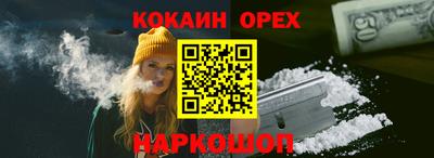 индика Шелехов