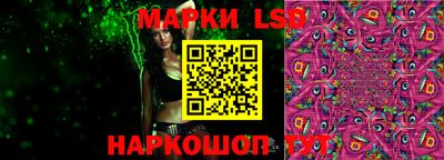 индика Шелехов