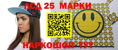 индика Шелехов