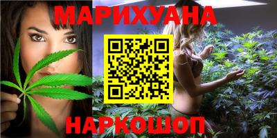 индика Шелехов
