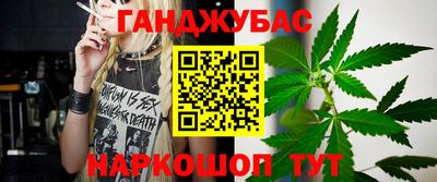 индика Шелехов