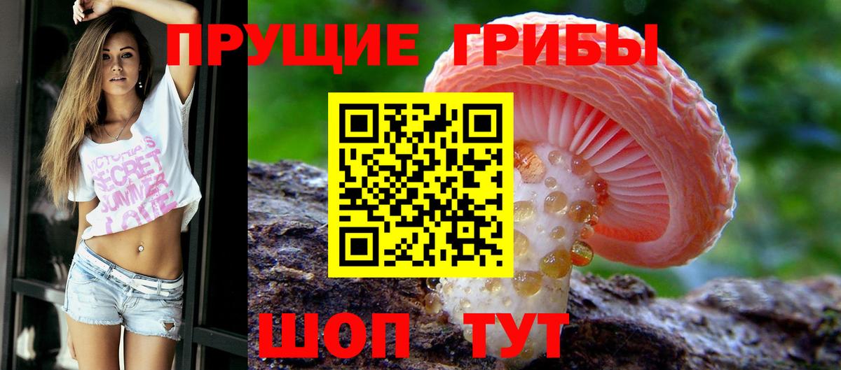 Галлюциногенные грибы GOLDEN TEACHER  Вход с VPN  Галлюциногенные грибы ЛСД  Краснознаменск 